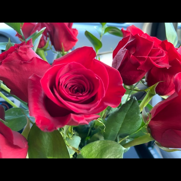 Meet your Posher, Irina - Picture 1 of 1